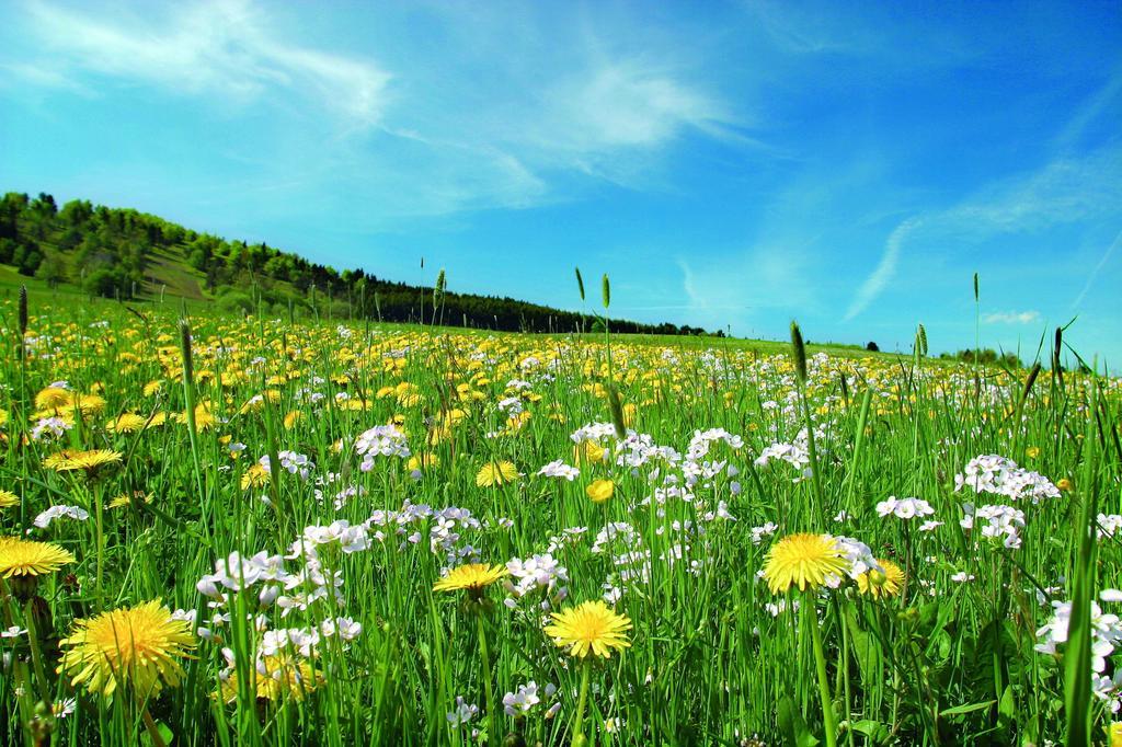Aparthotel Jaegerhaus Willingen  Dış mekan fotoğraf